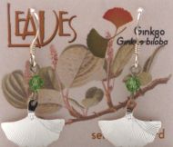 Gingko Earrings