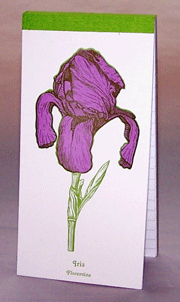 Iris Herbalist