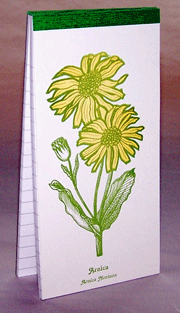 Arnica Herbalist