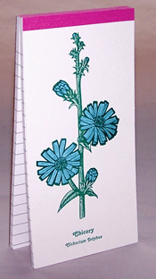 Chicory Herbalist