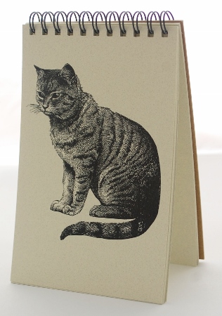 Cat Explorer Pad