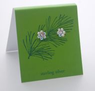 Aurora Northern Lights Post