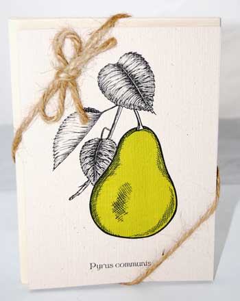 Pear Note Cards