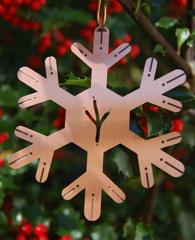 Bald Eagle Track Ornament