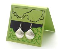 Scallop Shell Earrings