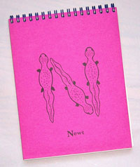 Newt Sketch Book