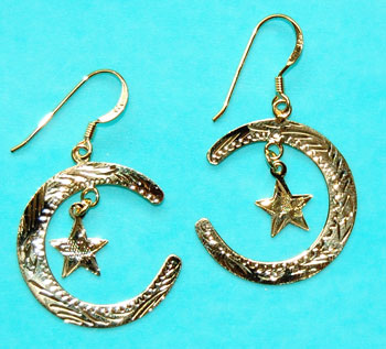 Moon & Star Earring - gold
