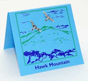 Hawk Post Earrings