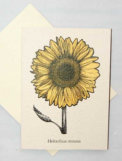 Sunflower Note Card