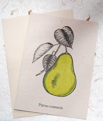 Pear Note Card
