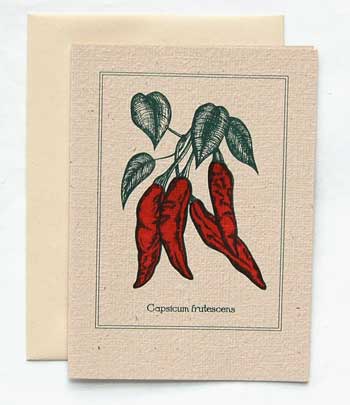 Chili Pepper Note Card