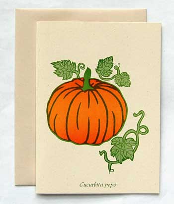 Pumpkin Note Card
