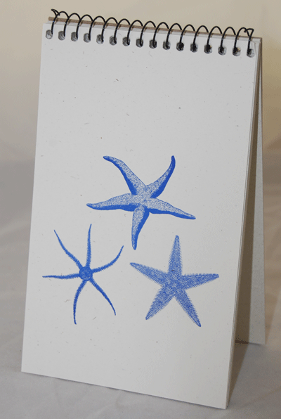 Starfish Explorer Pad