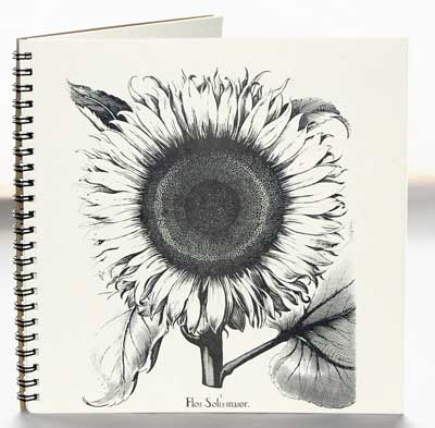 Sunflower Explorer Journal