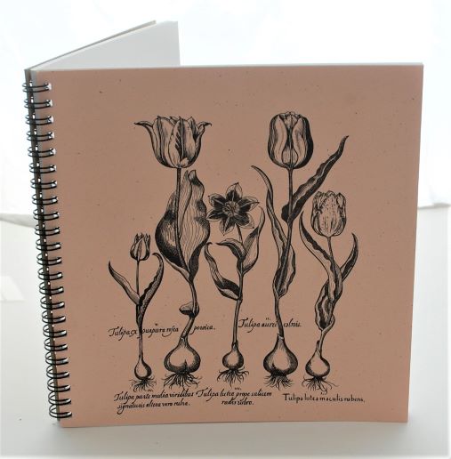 Botanical Explorer Journal