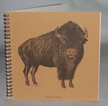 Buffalo Explorer Journal