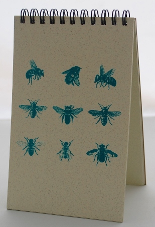 Bees Explorer Pad