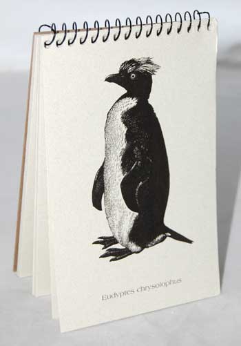 Rockhopper Penguin Explorer Pad