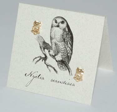 Owl Earrings - gold