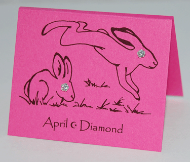Diamond Crystal Earrings - April
