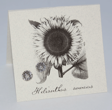 Sunflower Earrings - silver