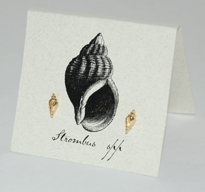 Conch Shell Earrings - gold