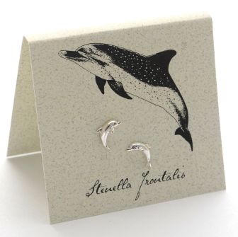 Dolphin Earrings - silver