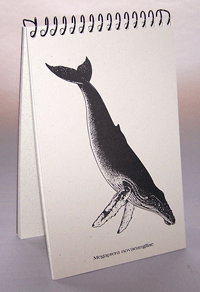 Whale Explorer Pad