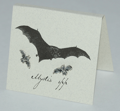 Bat Earrings - sterling