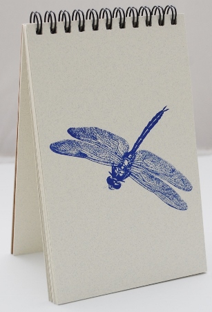 Blue Dragonfly Explorer Pad