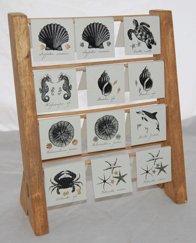 Natural History Nautical Rack Display