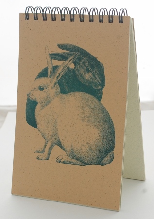 Rabbits Explorer Pad