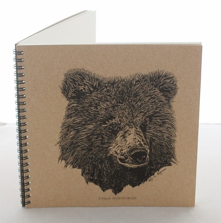 Bear Explorer Journal