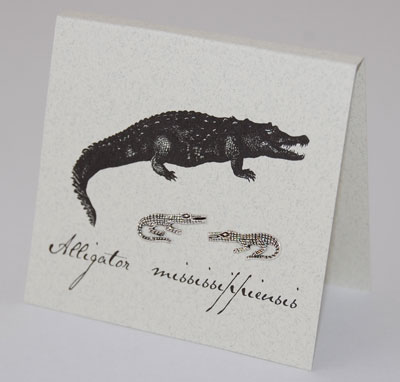 Alligator Earrings - silver