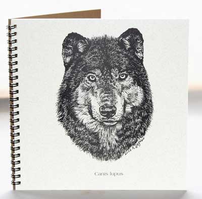 Wolf Explorer Journal