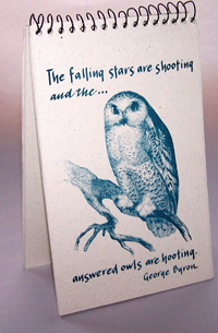 Owl w/ quote Explorer Pad