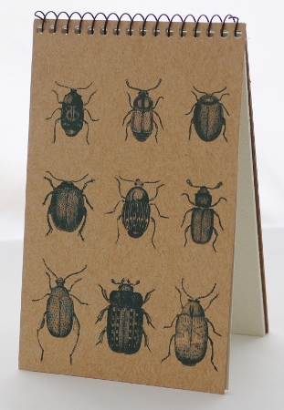 Beetles Explorer Pad