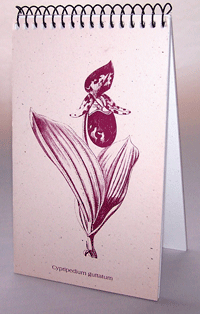 Lady Slipper Explorer Pad