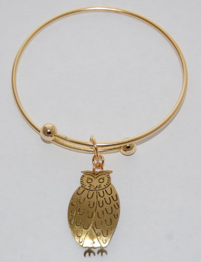 Owl Animal Spirit Bracelet