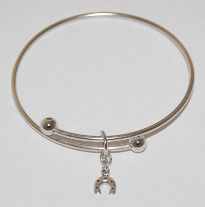 Horseshoe Charm Bracelet