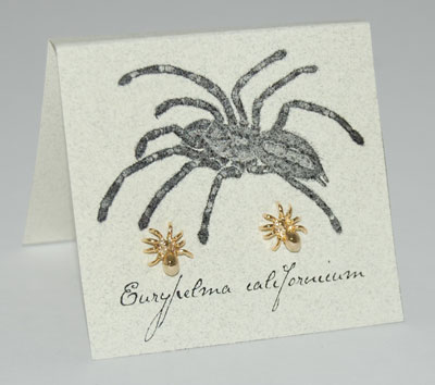 Spider Earrings - gold