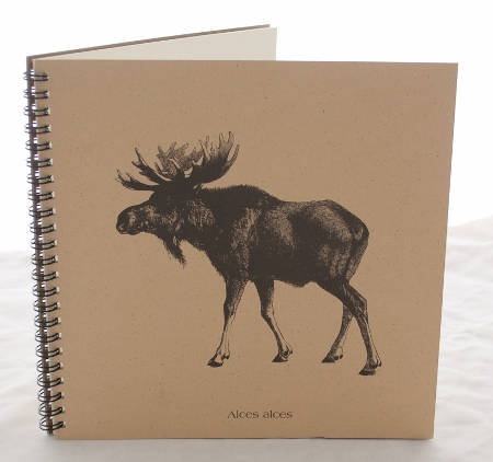 Moose Explorer Journal