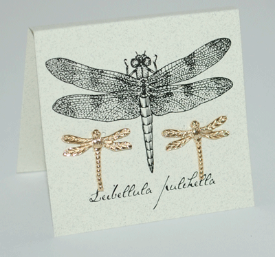 Dragonfly Earrings - gold 