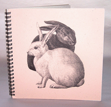 Rabbits Explorer Journal