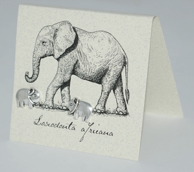 Elephant Earrings - silver