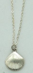 Scallop Necklace