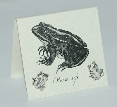 Frog Earrings - silver