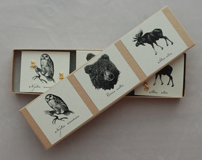 Northwoods Natural History Set - gold