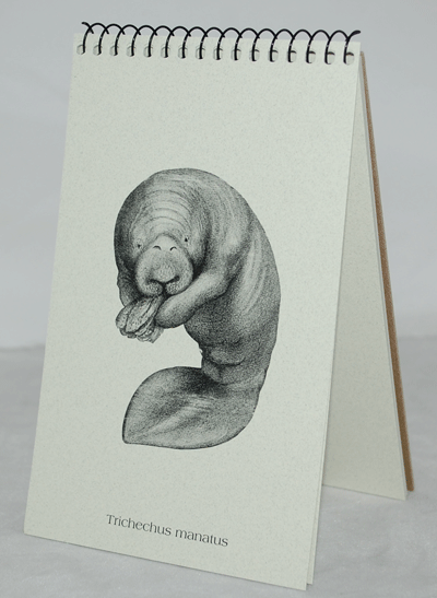 Manatee Explorer Pad