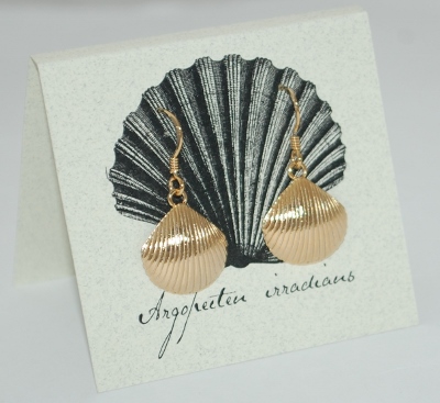 Scallop Earrings - gold